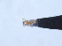  ( - YB-BCI29405)  @12 [ ] No Rights Reserved (2011) Unspecified Unspecified