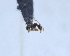  ( - YB-BCI29672)  @12 [ ] No Rights Reserved (2011) Unspecified Unspecified