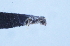  ( - YB-BCI29821)  @12 [ ] No Rights Reserved (2011) Unspecified Unspecified