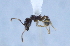  ( - YB-BCI14756)  @12 [ ] No Rights Reserved  Unspecified Unspecified