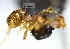  ( - YB-BCI28938)  @11 [ ] No Rights Reserved  Unspecified Unspecified