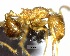  ( - YB-BCI89090)  @11 [ ] No Rights Reserved  Unspecified Unspecified