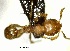  ( - YB-BCI89490)  @11 [ ] No Rights Reserved  Unspecified Unspecified