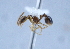 ( - YB-BCI14516)  @12 [ ] No Rights Reserved  Unspecified Unspecified