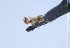  ( - YB-BCI29886)  @12 [ ] No Rights Reserved (2011) Unspecified Unspecified