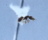  ( - YB-BCI10613)  @12 [ ] No Rights Reserved  Unspecified Unspecified
