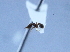 ( - YB-BCI14494)  @12 [ ] No Rights Reserved  Unspecified Unspecified