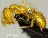  ( - YB-BCI163546)  @12 [ ] No Rights Reserved  Unspecified Unspecified