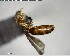  ( - YB-BCI141413)  @13 [ ] CreativeCommons - Attribution (2017) Yves Basset Smithsonian Tropical Research Institute
