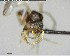  ( - YB-BCI150270)  @11 [ ] CreativeCommons - Attribution (2017) Yves Basset Smithsonian Tropical Research Institute