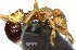  ( - YB-BCI73294)  @11 [ ] No Rights Reserved  Unspecified Unspecified