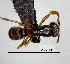  ( - YB-BCI115704)  @12 [ ] No Rights Reserved  Unspecified Unspecified