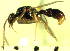  ( - YB-BCI64510)  @12 [ ] No Rights Reserved  Unspecified Unspecified