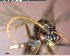  ( - YB-BCI137575)  @12 [ ] CreativeCommons - Attribution (2017) Yves Basset Smithsonian Tropical Research Institute