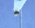  ( - YB-BCI6266)  @12 [ ] No Rights Reserved (2011) Unspecified Unspecified