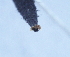  ( - YB-BCI29494)  @11 [ ] No Rights Reserved (2011) Unspecified Unspecified