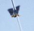  ( - YB-BCI29556)  @12 [ ] No Rights Reserved (2011) Unspecified Unspecified
