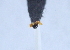  ( - YB-BCI29624)  @12 [ ] No Rights Reserved (2011) Unspecified Unspecified