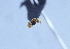  ( - YB-BCI29474)  @12 [ ] No Rights Reserved (2011) Unspecified Unspecified
