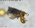 ( - YB-BCI147226)  @12 [ ] CreativeCommons - Attribution (2017) Yves Basset Smithsonian Tropical Research Institute