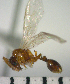  ( - YB-BCI8781)  @11 [ ] No Rights Reserved  Unspecified Unspecified