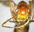  (Camponotus AEV4214 - YB-BCI155204)  @11 [ ] No Rights Reserved  Unspecified Unspecified
