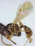  ( - YB-BCI159468)  @11 [ ] No Rights Reserved  Unspecified Unspecified