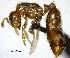  ( - YB-BCI173800)  @11 [ ] No Rights Reserved  Unspecified Unspecified