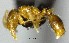  ( - YB-BCI179209)  @11 [ ] No Rights Reserved  Unspecified Unspecified