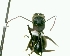  ( - YB-DD1004BC)  @12 [ ] No Rights Reserved  Unspecified Unspecified