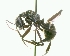 ( - YB-DD1004BC)  @13 [ ] No Rights Reserved  Unspecified Unspecified
