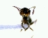  ( - YB-DD1027BC)  @12 [ ] No Rights Reserved  Unspecified Unspecified