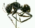  ( - YB-DD1029BC)  @14 [ ] No Rights Reserved  Unspecified Unspecified
