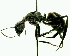  ( - YB-DD1030BC)  @13 [ ] No Rights Reserved  Unspecified Unspecified
