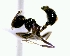  ( - YB-DD1042BC)  @13 [ ] No Rights Reserved  Unspecified Unspecified