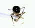  ( - YB-DD1065BC)  @12 [ ] No Rights Reserved  Unspecified Unspecified