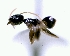  ( - YB-DD1066BC)  @11 [ ] No Rights Reserved  Unspecified Unspecified