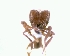  ( - YB-DD1067BC)  @12 [ ] No Rights Reserved  Unspecified Unspecified