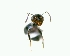  ( - YB-DD1070BC)  @12 [ ] No Rights Reserved  Unspecified Unspecified
