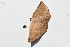  ( - YB-BCI187592)  @11 [ ] No Rights Reserved  Unspecified Unspecified