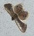 ( - YB-BCI187598)  @11 [ ] No Rights Reserved  Unspecified Unspecified