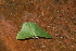 ( - YB-BCI188966)  @11 [ ] No Rights Reserved  Unspecified Unspecified
