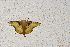  ( - YB-BCI189309)  @11 [ ] No Rights Reserved  Unspecified Unspecified