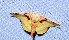  ( - YB-BCI189568)  @11 [ ] No Rights Reserved  Unspecified Unspecified