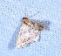 ( - YB-BCI191809)  @11 [ ] No Rights Reserved  Unspecified Unspecified