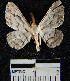  ( - YB-BCI1448)  @13 [ ] No Rights Reserved  Unspecified Unspecified