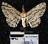  ( - YB-BCI2894)  @13 [ ] No Rights Reserved  Unspecified Unspecified