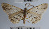  ( - YB-BCI37906)  @13 [ ] No Rights Reserved  Unspecified Unspecified