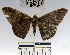  ( - YB-BCI32030)  @14 [ ] No Rights Reserved  Unspecified Unspecified