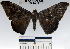  ( - YB-BCI36242)  @14 [ ] No Rights Reserved  Unspecified Unspecified
